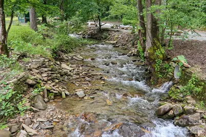 295 Dills Road, Bryson City, NC 28713 - Photo 41