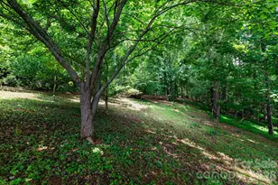 44 Deer Meadows Dr, Candler, NC 28715 - Photo 31