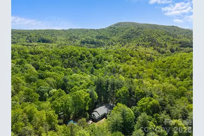 387 Crystal Creek Drive, Pisgah Forest, NC 28768 - Photo 7