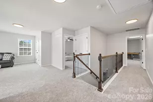 299 Annatto Way, Tega Cay, SC 29708 - Photo 31