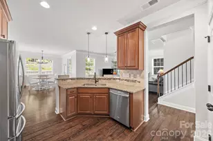 299 Annatto Way, Tega Cay, SC 29708 - Photo 13