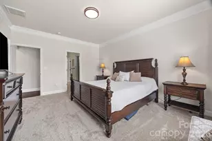 299 Annatto Way, Tega Cay, SC 29708 - Photo 23