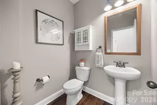 299 Annatto Way, Tega Cay, SC 29708 - Photo 21