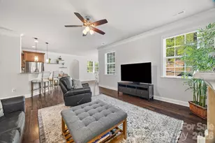 299 Annatto Way, Tega Cay, SC 29708 - Photo 19