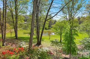 1388 King Rd, Pisgah Forest, NC 28768 - Photo 19