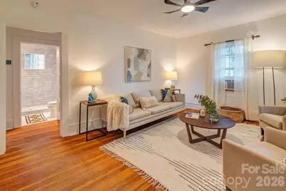 3 Irving Street, Asheville, NC 28804 - Photo 7