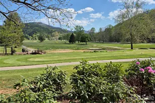 623 Country Club Dr, Canton, NC 28716 - Photo 47