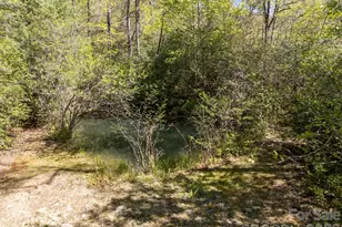 78 Bird Creek Estates Rd, Black Mountain, NC 28711 - Photo 31