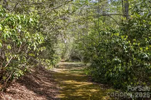 78 Bird Creek Estates Rd, Black Mountain, NC 28711 - Photo 43