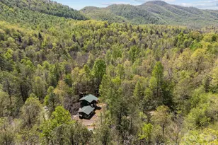 78 Bird Creek Estates Rd, Black Mountain, NC 28711 - Photo 33