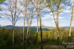366 Signature Row Blvd, Waynesville, NC 28785 - Photo 13