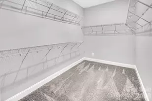4097 Canopy Creek Dr, Denver, NC 28037 - Photo 29