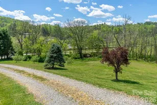 71 Bullfrog Cove Rd, Sylva, NC 28779 - Photo 3