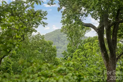 8 N Delano Road, Asheville, NC 28805 - Photo 27