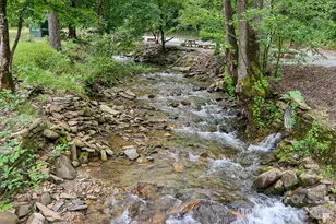 295/291 Dills Rd, Bryson City, NC 28713 - Photo 47