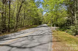 100 Greenbriar Ave, Flat Rock, NC 28731 - Photo 3