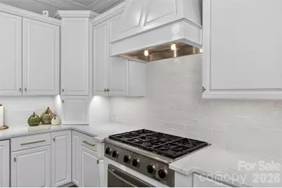 306 Royal Crescent Lane, Waxhaw, NC 28173 - Photo 25