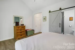 29 Little Cedar Ct, Asheville, NC 28805 - Photo 23