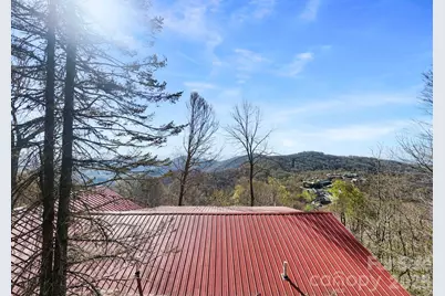 339 Granny Lewis Lane, Mars Hill, NC 28754 - Photo 33