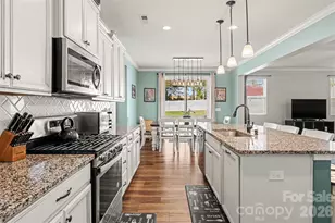 15125 Red Canoe Way, Charlotte, NC 28278 - Photo 7