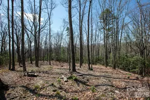 148 Spring Song Ln, Fletcher, NC 28732 - Photo 1
