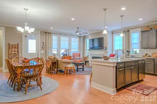 560 Sweet Birch Park Ln, Black Mountain, NC 28711 - Photo 7