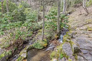 57 Grosbeak Trail, Sylva, NC 28779 - Photo 43