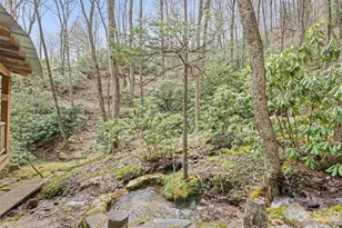 57 Grosbeak Trail, Sylva, NC 28779 - Photo 39