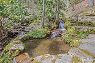 57 Grosbeak Trail, Sylva, NC 28779 - Photo 41