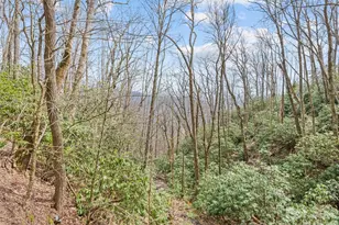 57 Grosbeak Trail, Sylva, NC 28779 - Photo 45