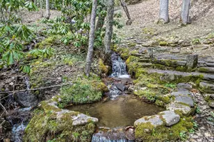 57 Grosbeak Trail, Sylva, NC 28779 - Photo 7