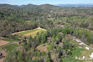 344 S Mills River Rd, Mills River, NC 28759 - Photo 33