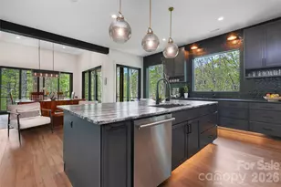 726 Ugugu Dr, Brevard, NC 28712 - Photo 19