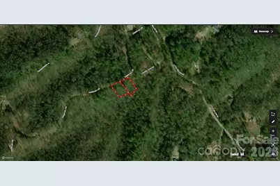 9999 Erwin Hill Drive, Etowah, NC 28792 - Photo 5