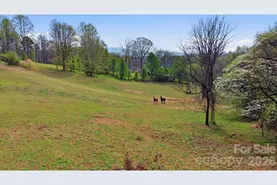 337 Town Mountain Road, Hayesville, NC 28904 - Photo 3