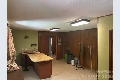 104 Turley Falls Road, Hendersonville, NC 28739 - Photo 19