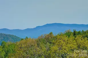 551 Carvers Knob Rd, Spruce Pine, NC 28777 - Photo 3