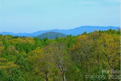 551 Carvers Knob Road, Spruce Pine, NC 28777 - Photo 45