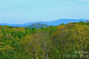 551 Carvers Knob Rd, Spruce Pine, NC 28777 - Photo 45