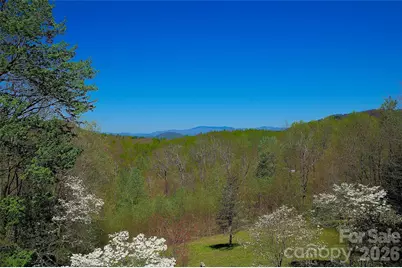 551 Carvers Knob Road, Spruce Pine, NC 28777 - Photo 23
