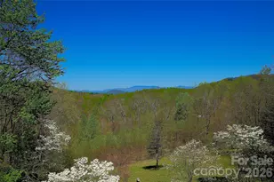 551 Carvers Knob Rd, Spruce Pine, NC 28777 - Photo 23
