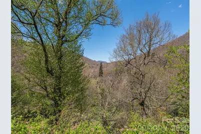 240 Plott Balsam Road, Maggie Valley, NC 28751 - Photo 3