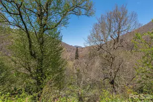 240 Plott Balsam Rd, Maggie Valley, NC 28751 - Photo 3