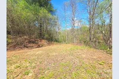 50 Turtle Rock Lane #6, Waynesville, NC 28785 - Photo 3
