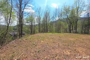 50 Turtle Rock Ln, Waynesville, NC 28785 - Photo 1