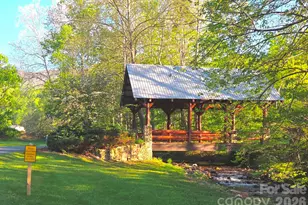 50 Turtle Rock Ln, Waynesville, NC 28785 - Photo 1