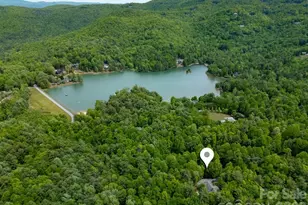 131 Bear Trace Rd, Brevard, NC 28712 - Photo 3