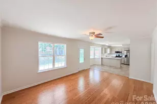 10009 Wild Dogwood Ct, Charlotte, NC 28273 - Photo 9