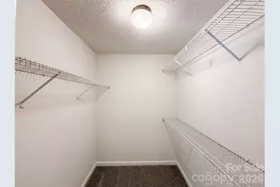 10009 Wild Dogwood Court, Charlotte, NC 28273 - Photo 19