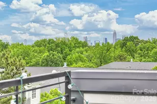 420 Grey Reagan Trail, Charlotte, NC 28211 - Photo 27